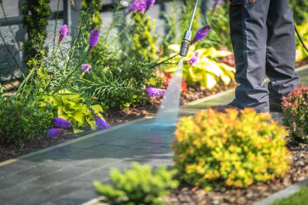 Best Sidewalk and Walkway Pressure Cleaning in West Van Lear, KY
