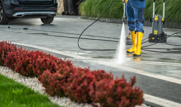 Best Pool Deck Cleaning in West Van Lear, KY